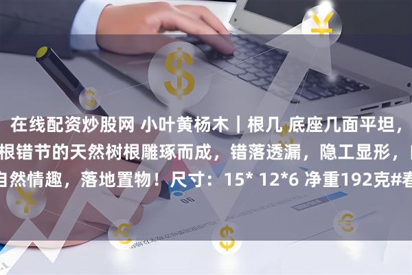 在线配资炒股网 小叶黄杨木|根几 底座几面平坦,可承诸多文器,几足巧取盘根错节的天然树根雕琢而成,错落透漏,隐工显形,自然情趣,落地置物!尺寸:15* 12*6 净重192克#春日运动指南# #黄杨木雕#